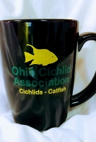 Official OCA Coffee Mug